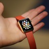 Apple Watch domácí obrazovka icon