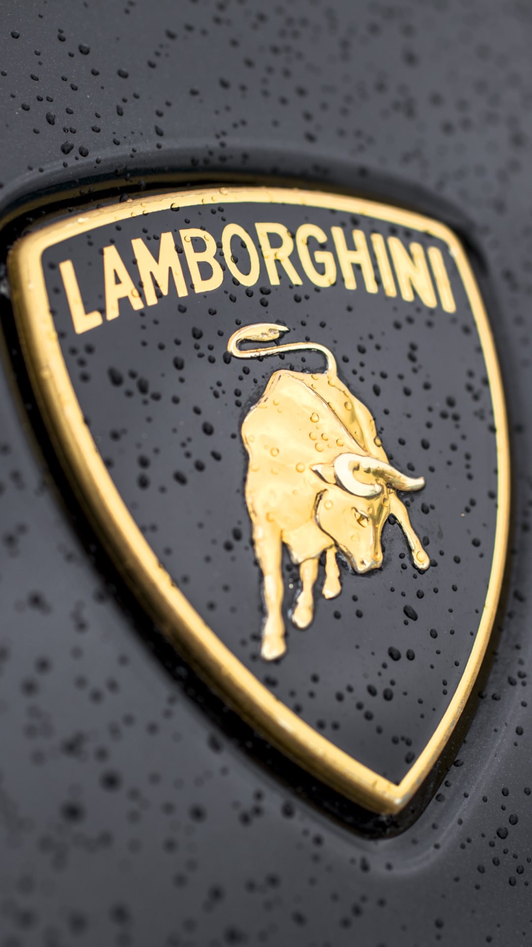 Lamborghini-Logo-Close-up-iPhone-6-Plus-HD-Wallpaper