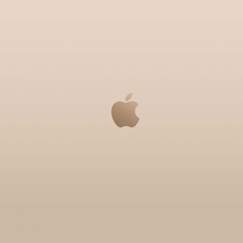 iPhone6-Plus-Gold-JasonZigrino