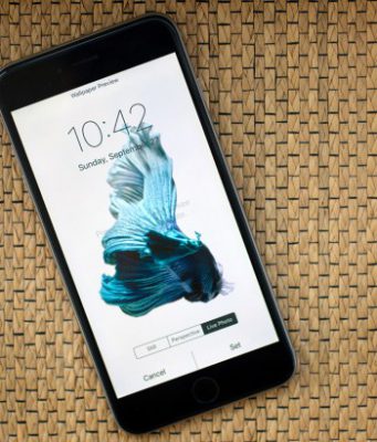 Jak dopadne iPhone 6s hozený do sloní pasty?