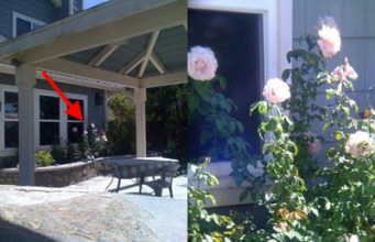 Chyba, kterou obsahuje nejnovější verze iOS, umožní zoomovat více než jindy