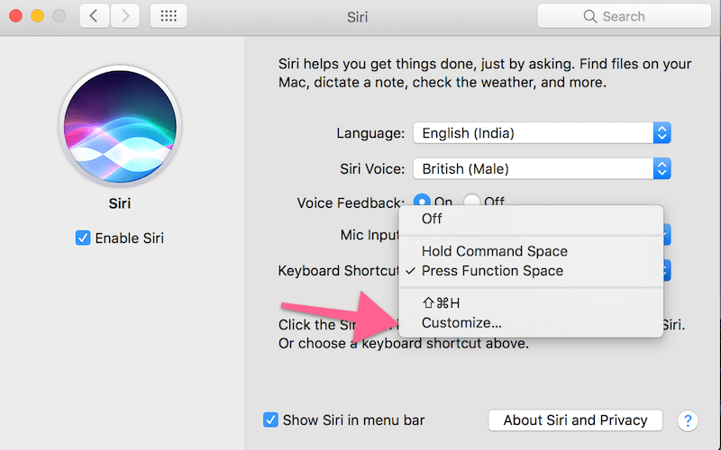 how-to-use-siri-on-mac-2