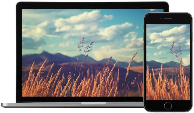 iTapety týdne: Polní tráva