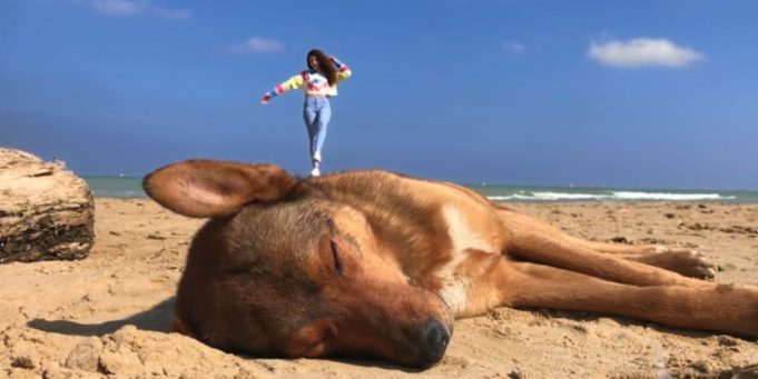 Apple zveřejnil tři nové reklamy ze série Shot on iPhone 7!