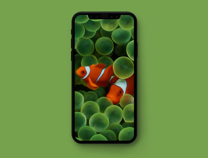 iTypety týdne – Originální Apple pozadí pro iPhone X