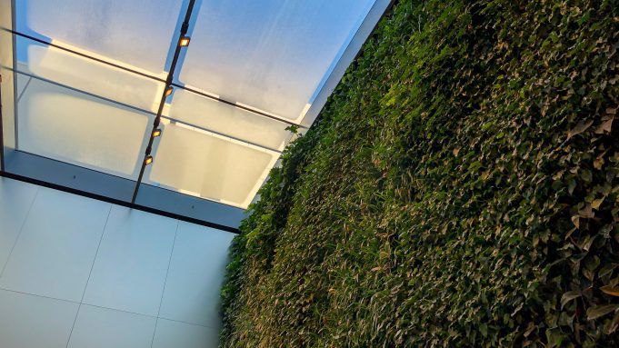 Apple Bondi v Austrálii se dnes znovu otevřel