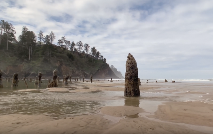 Apple zveřejnil sérii videí prezentující kvalitu mikrofonu