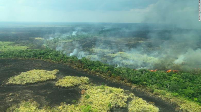 Apple daruje peníze na pomoc při ochraně a obnově amazonského pralesa v Latinské Americe