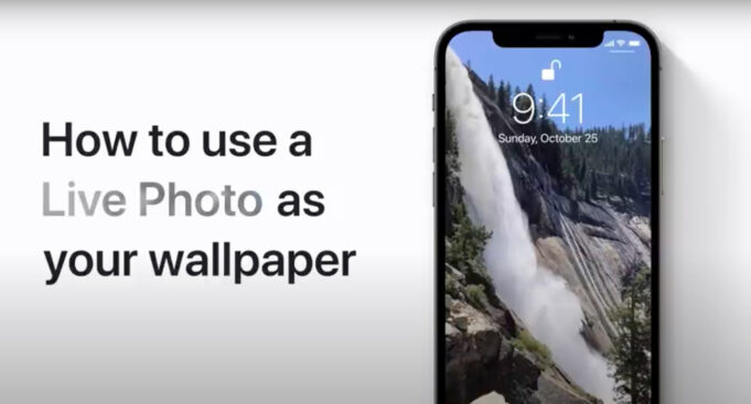 Apple návody – Jak nastavit Live Photo jako tapetu na iPhonu