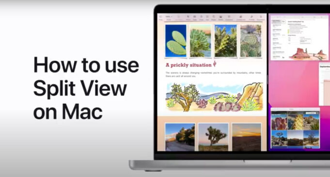 Apple návody – Jak používat Split View na Macu