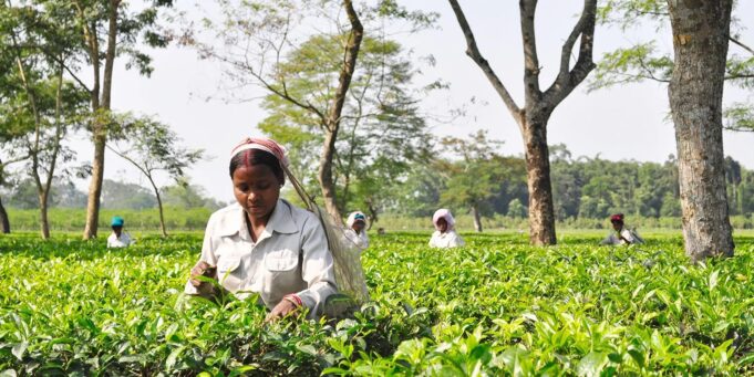 Rozšíření výroby iPhonů v Indii by mohli zablokovat farmáři a místní úředníci