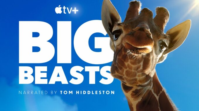 Apple zveřejnil upoutávku na nový dokumentární seriál „Big Beasts“
